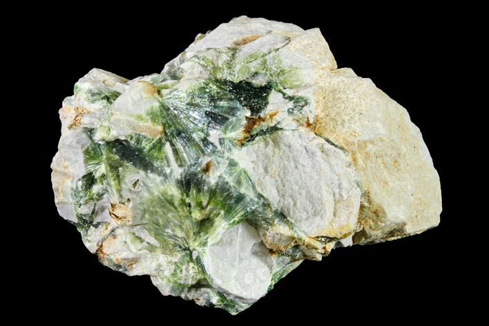 Radiating, Green Wavellite Crystal Aggregation - Arkansas #163071